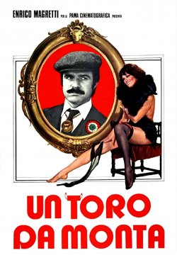 Un toro da monta